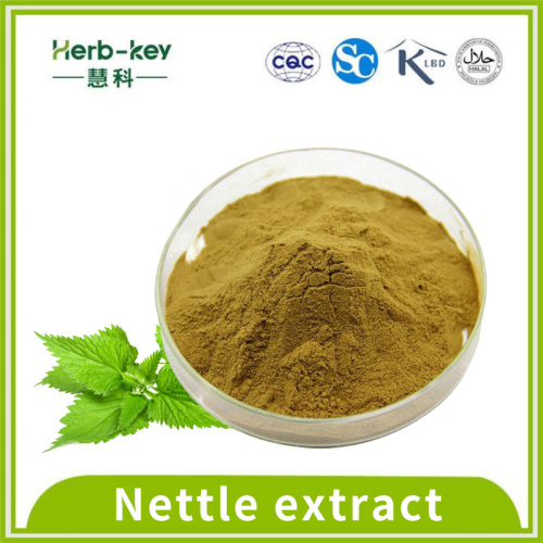 7% hypoglycemic effect of nettle extract