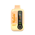 Vapsolo DG18000 Puffs Disposable Vape Wholesale