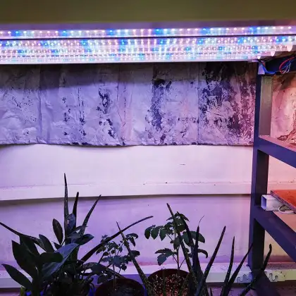BBIER Original HPS Fluence LED Grow Light - Kingbright LED Grow Light