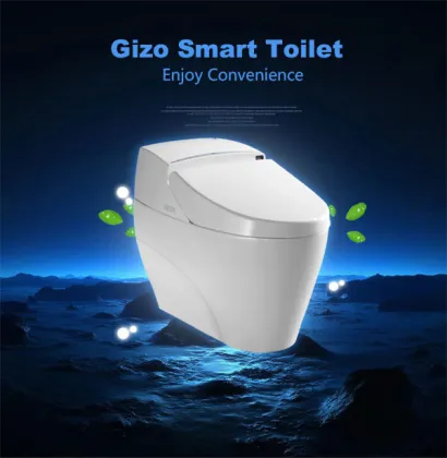 smart smart vagina toilet automatic acrylic toilet