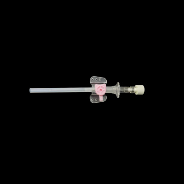 Butterfly needle IV catheter