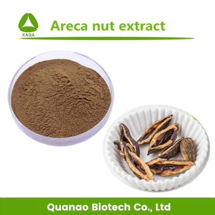 Areca Catechu Extract Arecoline Betel Nut Extract 10:1