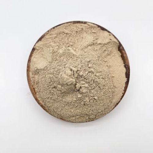 Effective Water Treatment Bio Bacteria for Wastewater