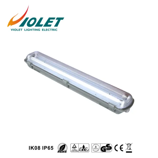 China Factory Supply rechargeable fluorescence light portable From VIOLET