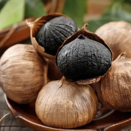 High-quality canned snack black garlic near me
