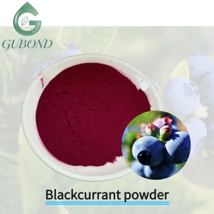 Blueberry Spray Dried Fruit Powder