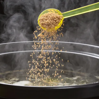 Japanese Flavor Dried Hondashi Bonito Soup Stock Powder: Enhancing Your Cooking with Authentic Japanese Taste