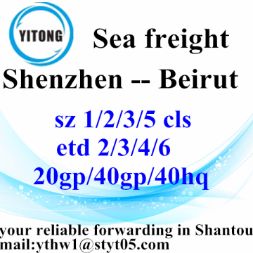 Shenzhen International Freight Forwarder Shipping to Beirut