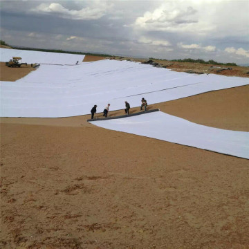 ASTM Bentonite Waterproof Blanket Geosynthetic Barrier