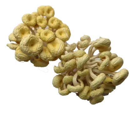 Detan Wild Dried Chanterelle Mushrooms - Low Prices on Yellow Foot Chanterelle (Golden Mushrooms)