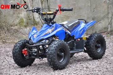 49cc MINI ATV for kids