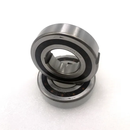 Germany Stieber Auto Low Noise One Way Clutch Bearing ASNU Series