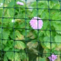 Plastic Square Anti Bird Netting