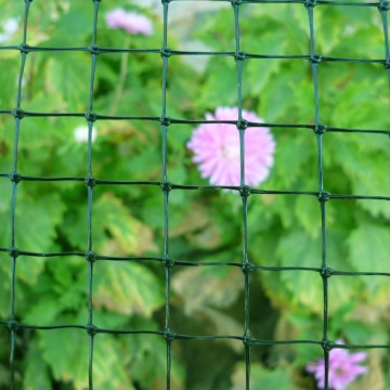 Red anti cuadrada de plástico para pájaros