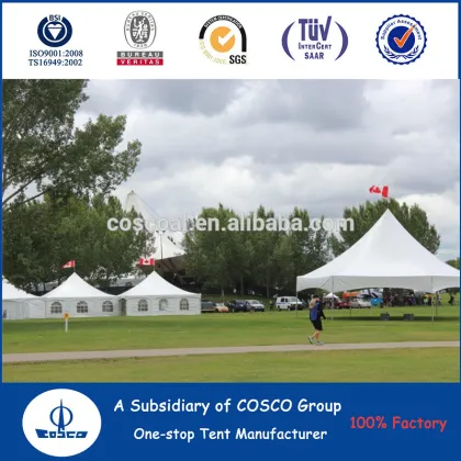 COSCO Factory Supply 10ft Peak Tent high peak canopy tent