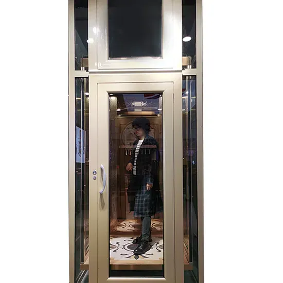 Economic Control Traction Cargo Elevator