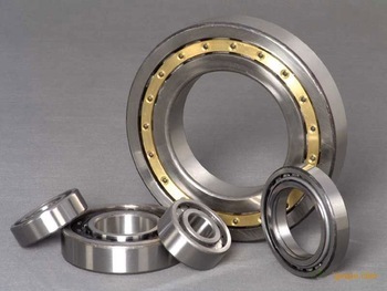 NJ305 Cylindrical Roller Bearing 25X62X17MM