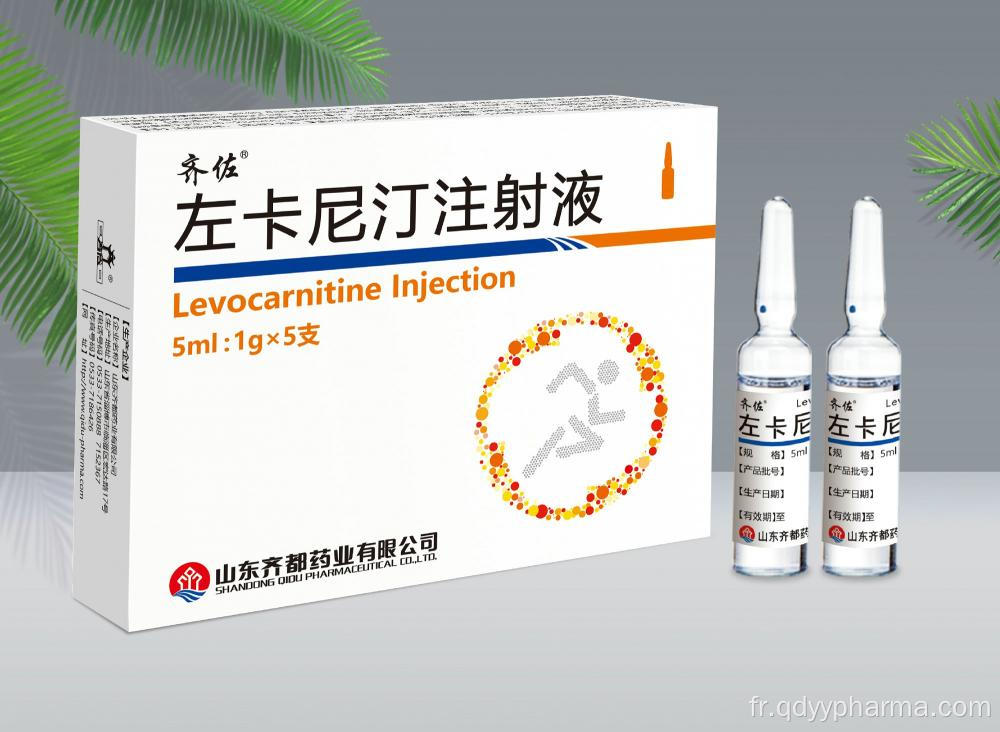 Injection de lévocarnitine 5 ml: 1G norme interne