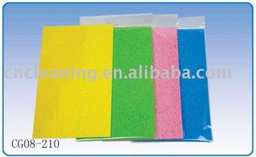 cleaning sponge