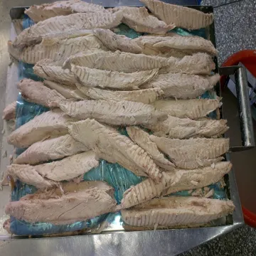 Preooked skipjack tuna loins for can ,katsuwonus pelamis ,single clean