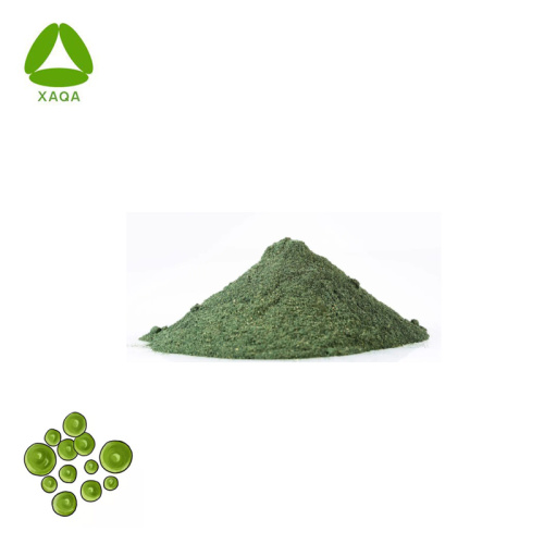 ISO90001 Organic Supplement Natural Pure Spirulina Powder