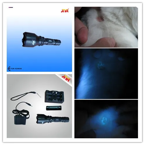 animal use lamp checking filter