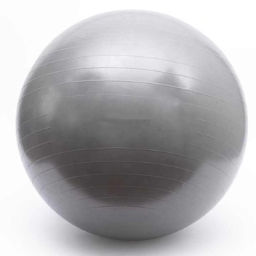 55/65/75cm Diameter Home Gym PVC Yoga Ball