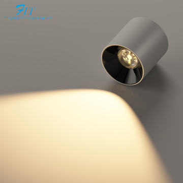 Tuna Smart Surface Mounted Down Light