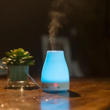Private Label Wholesale Aromatherapy Nebulizer Smart Air Freshener