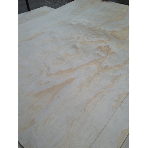 American Standard CARB Packaging Plywood 8 Mm