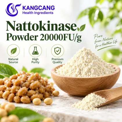 Natto Extract Nattokinase Powder