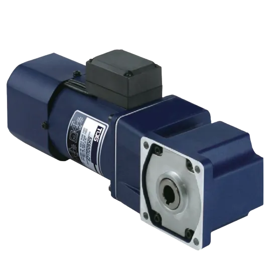 220V Single Phase Spiral Bevel Right Angle AC Gear Motor with Reducer