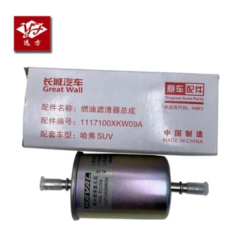 Filtre de carburant de grandeur grande murale de qualité originale - 1117100xkw09a
