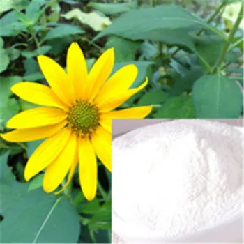Chicory Root Extract Inulin 90% 95% powder