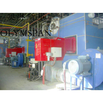 2.8MW Gas Fired Hot Oil Boiler