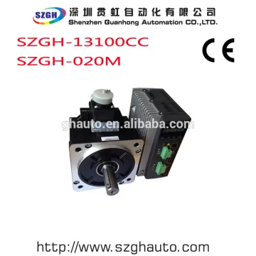 Servo motor and driver