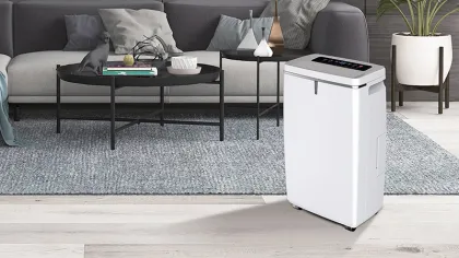 220v 60hz Floor Standing Dry Air Portable Home Dehumidifier