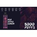 Dernier OEM populaire uniquement 5000 Puffs Dlipor Vapor