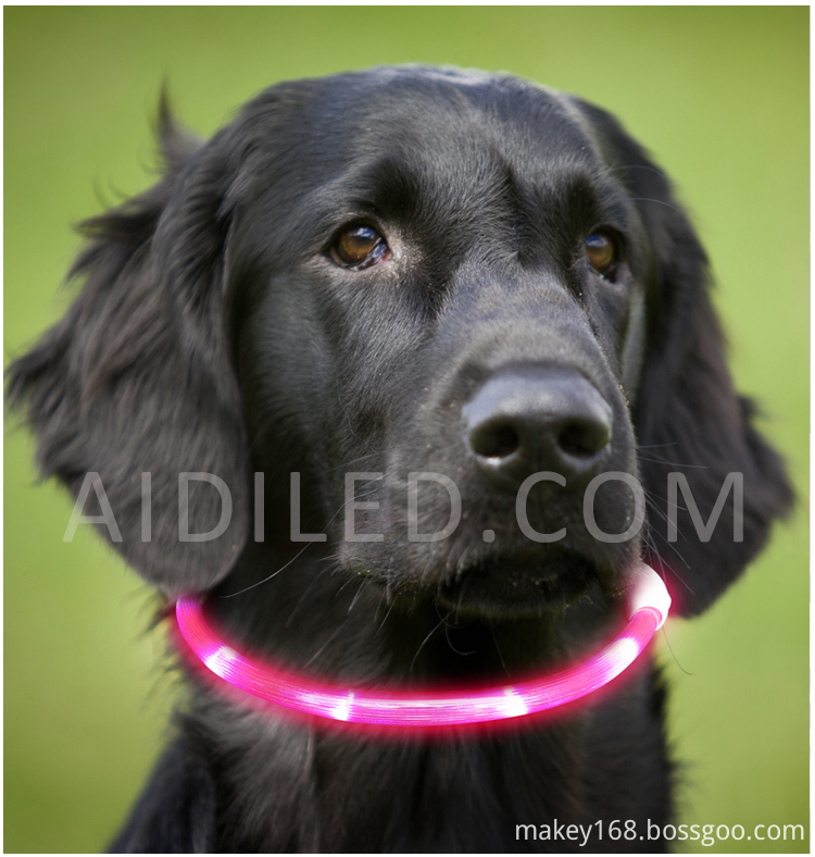 Christmas Light Up Dog Collar