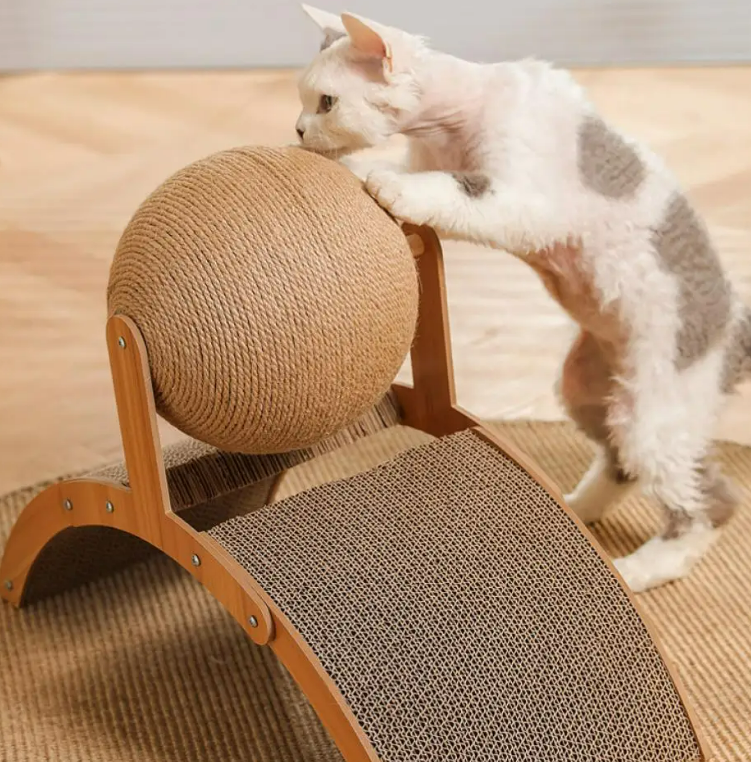 cat scratch
