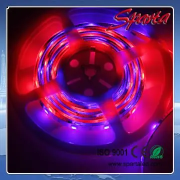 5050 led strip 300 leds rgb