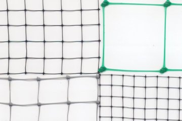 Bi-oriented PP net