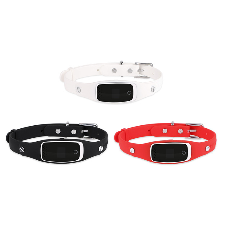 Pet Gps Collar
