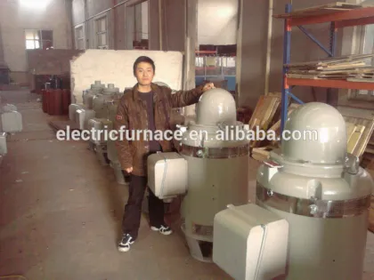 Vertical Hollow Shaft Motor (ge vhs motor)