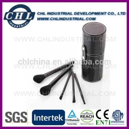 Promotional beauty brush set for gift