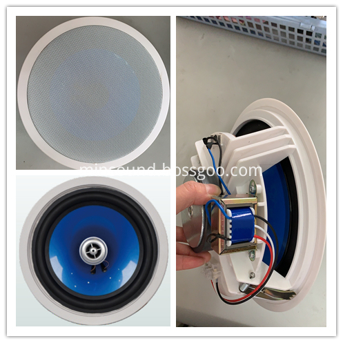 Ceiling Speaker Ceiling Speaker