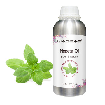 Alta qualidade 100% Pure Schizonepeta Oil Natural Nepeta Catária Oil