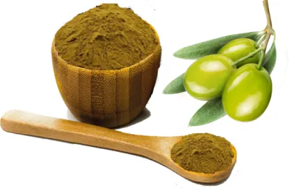 Oleuropein Olive Leaf Extract