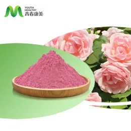 Bulk Price High Nurtitional Value Rose Powder