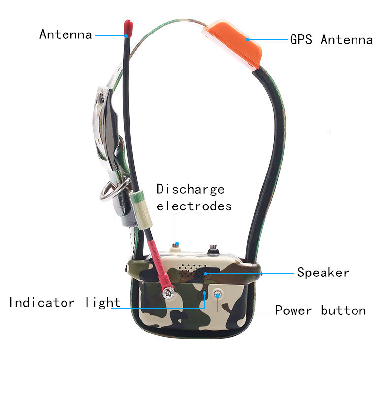 GPS collar